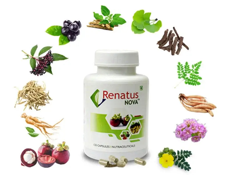 Renatus Wellness Renatus Nova (120 N)