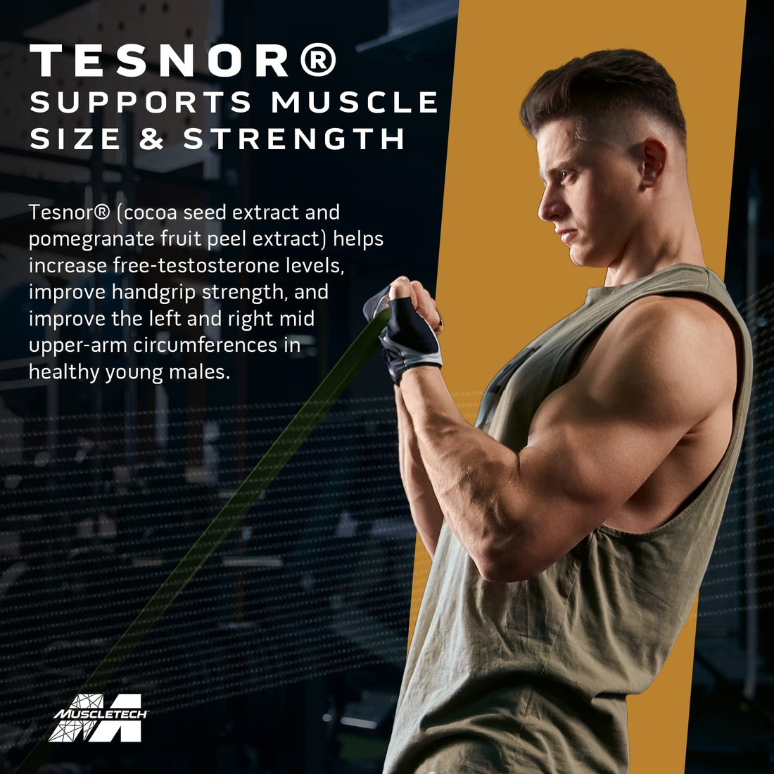 MuscleTech Test HD Elite - 60 N