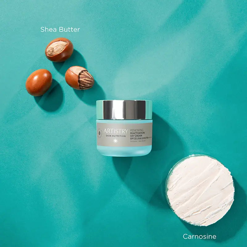 AMWAY ARTISTRY Skin Nutrition Renewing Reactivation Day Cream – Youthful Hydration 50ml