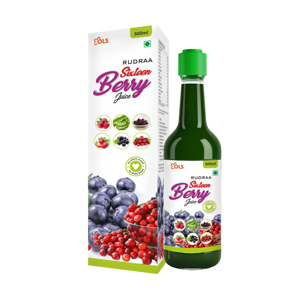 Rudraa Forever Sixteen Berry Juice (500ML)