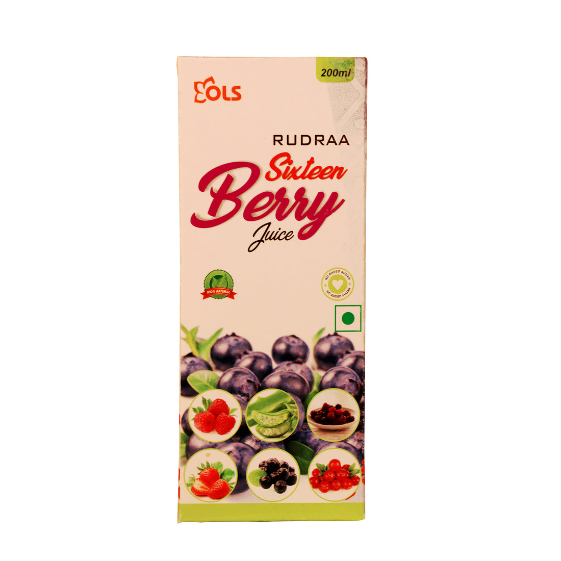 Rudraa Forever Sixteen Berry Juice (200 ML)