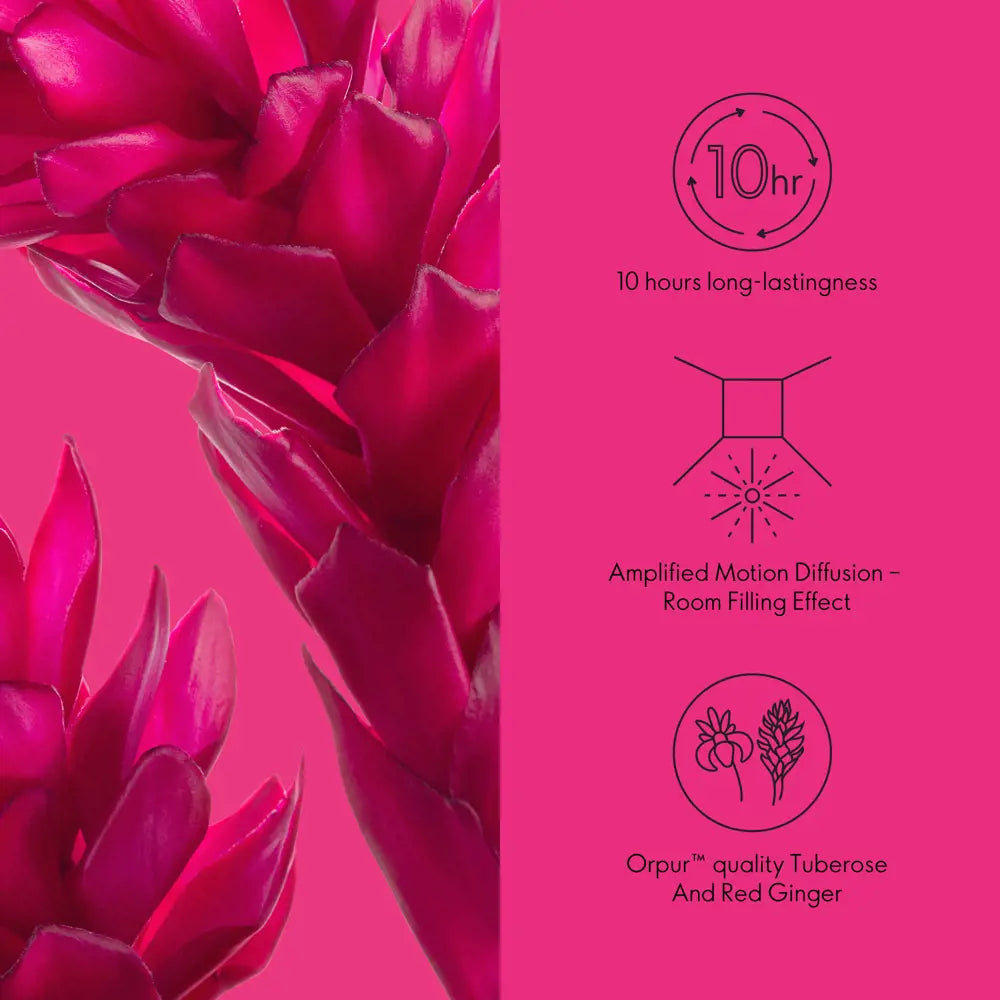 ORIFLAME All or Nothing Amplified Parfum – Bold & Feminine Fragrance (50 ML)